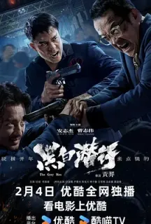 黑白潜行(2024)The Grey Men/中国大陆/豆瓣: 5.3