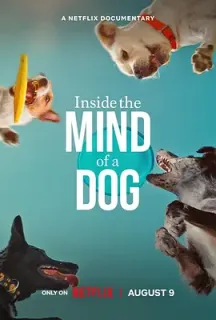 汪星人的奇思妙想 Inside the Mind of a Dog(2024)/美国/豆瓣: 7.4