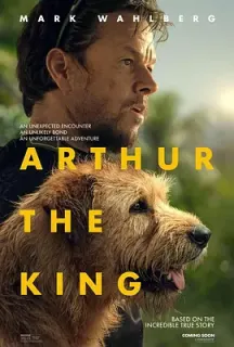 冠军亚瑟 Arthur the King(2024)极限长征(台)/铁人狗狗(港)/王者亚瑟/美国/加拿大/豆瓣: 7.3